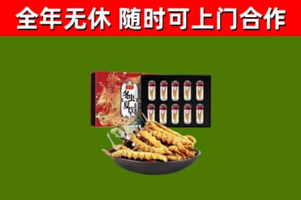 拉萨回收冬虫夏草价格