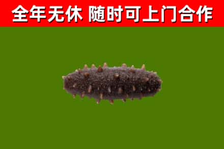 拉萨烟酒回收干海参.jpg